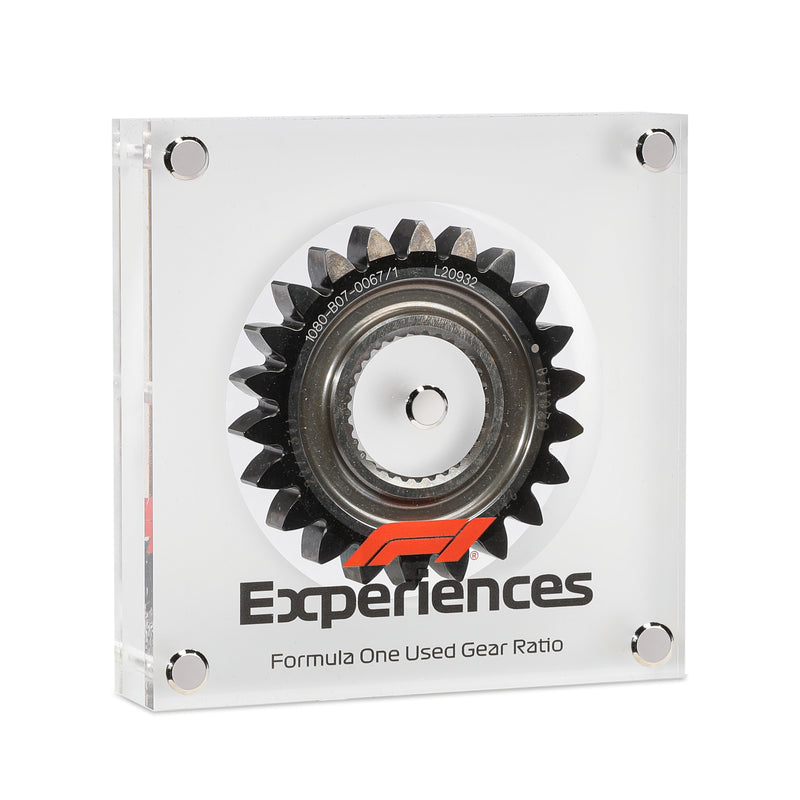 F1 Experiences Gear Ratio in Acrylic