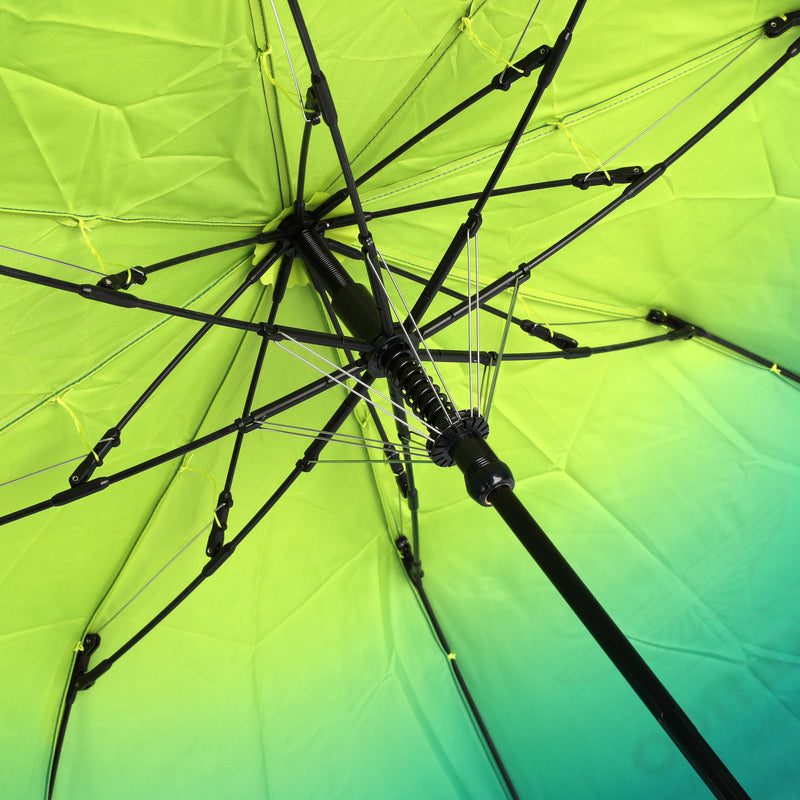 Aston Martin F1 Team 2026 Umbrella