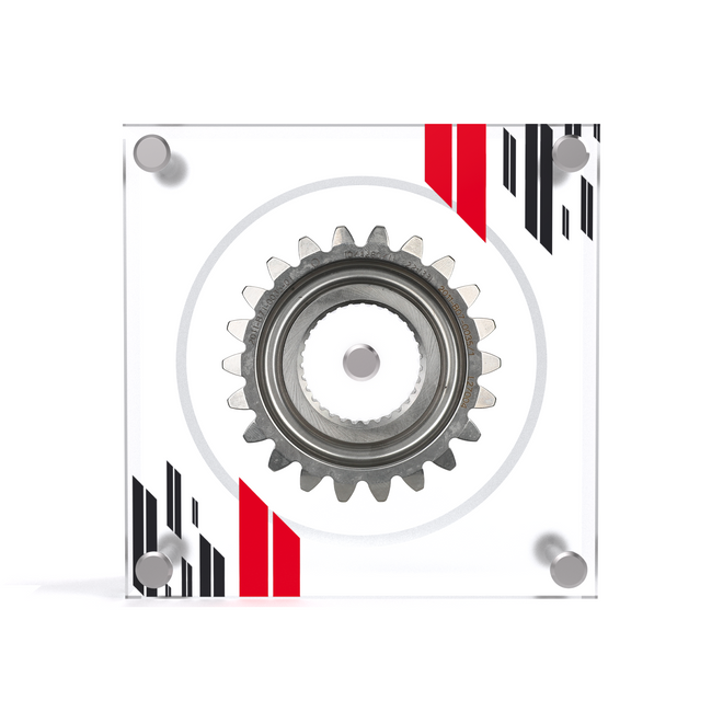 F1 Experiences Gear Ratio in Acrylic